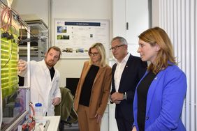 Vier Personen in einem Labor mit Algen