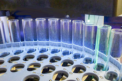 Fraktionierung von GFP bei der Chromatographie