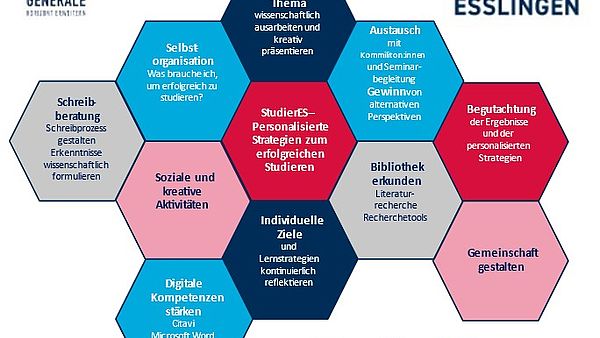 Konzept des Projektes StudierEs