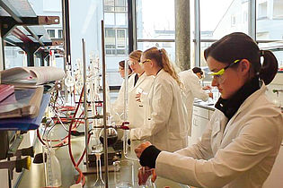 Several students work together in the laboratory 