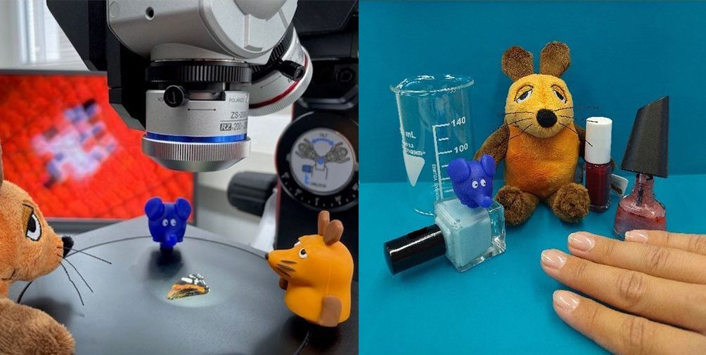Türen auf mit der Maus: Collage mit zwei Stoffmäusen und Laborgerätschaften an der Hochschule Esslingenngen