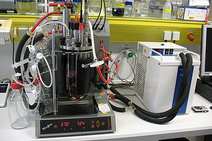 Bioreaktor für Zellkulturen