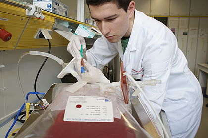 Student working in the laboratory 