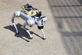 Roboterhund