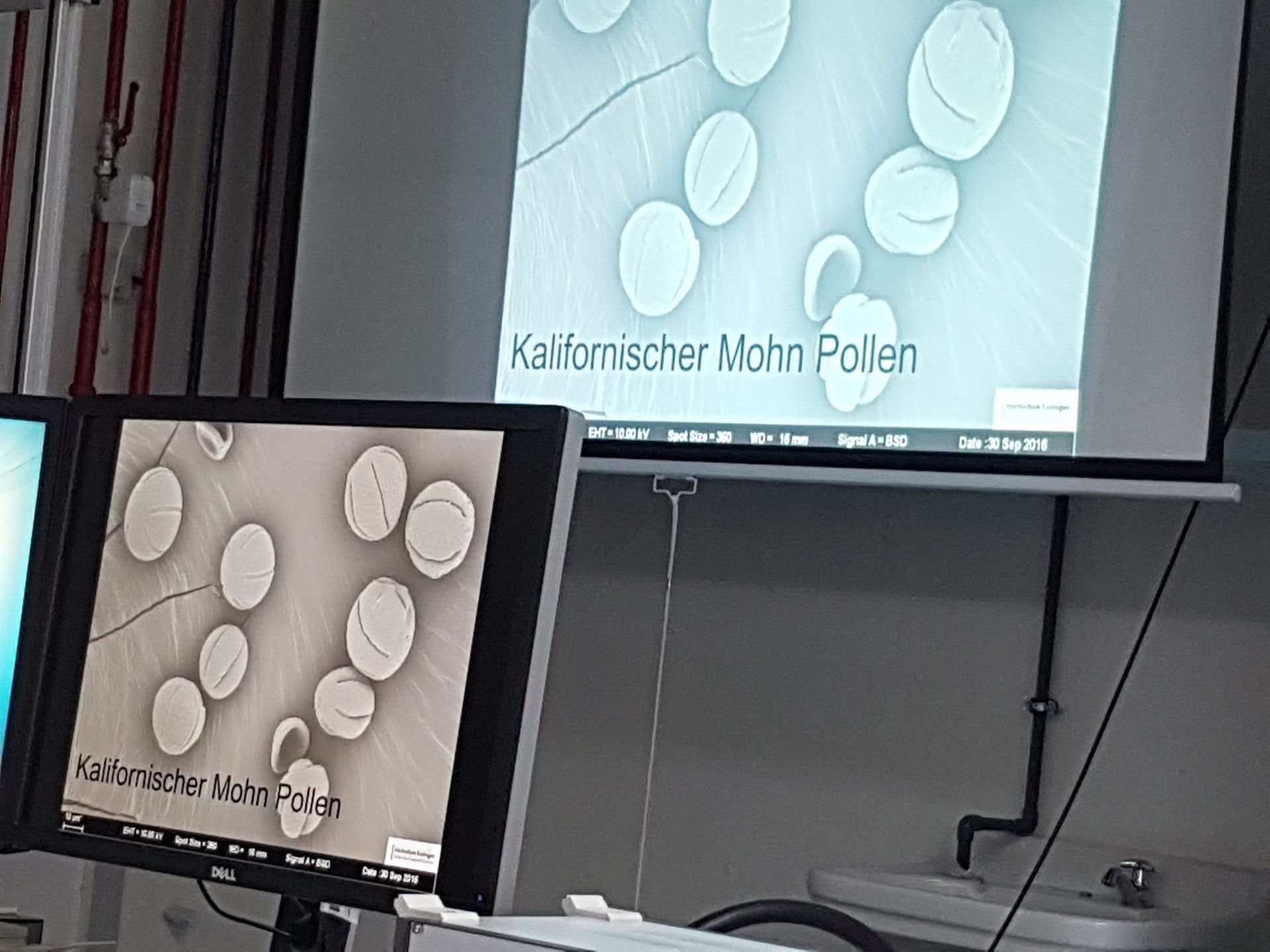 Präsentation mit Beamer