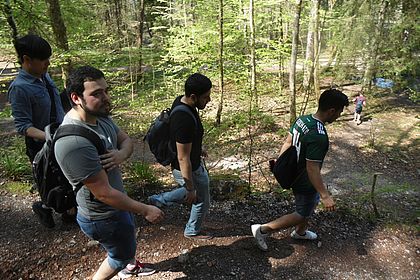 Vier Studenten wandern im Wald