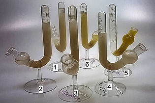 Variously filled test tubes