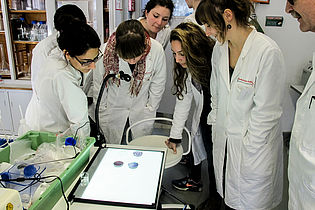 Studenten die Petrischalen betrachten 