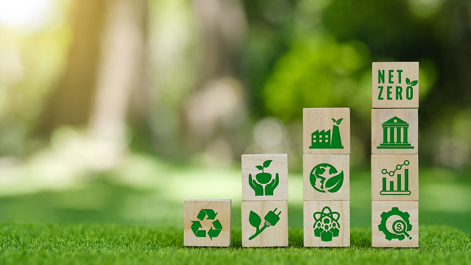 With a Master in Environmental Protection, you will deepen your know-how in environmentally relevant areas