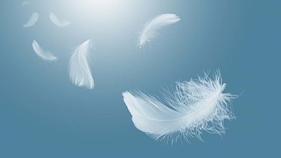 abstrakte weiße Vogelfedern fallen vom Himmel