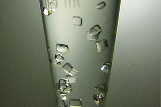 Crystallization in the test tube 