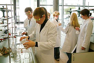 Students work in the laboratory 