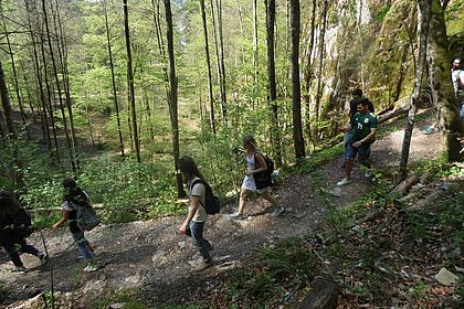 Studierende im Wald