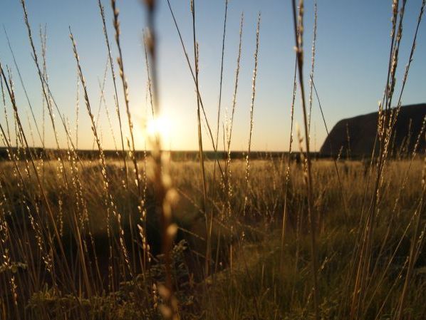 Australien - Uluru bzw. Ayers Rock Australien - Uluru bzw. Ayers Rock