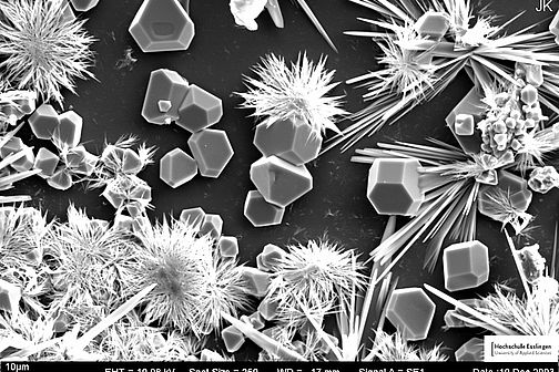 Kristalle aus Natriumchlorid und Natriumphosphat unter einem Rasterelktronenmikroskop
