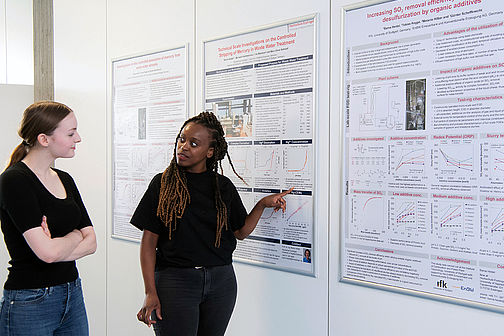 Beispiele für wissenschaftliche Poster im Studiengang Umweltschutz